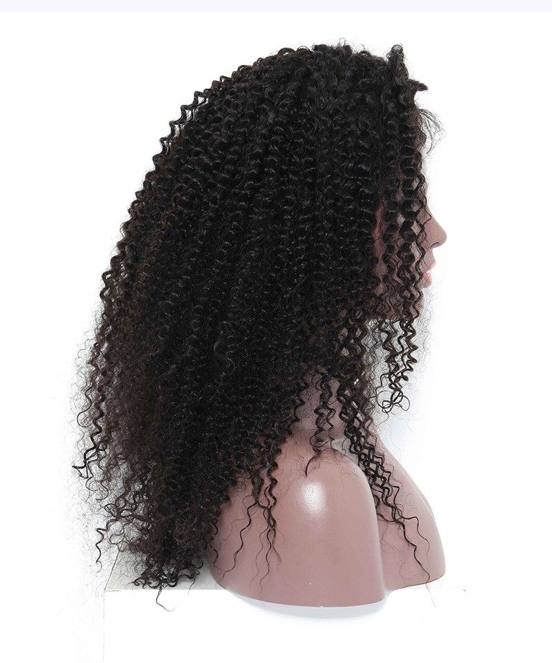 Afro Kinky Curly Full Lace Human Hair Wigs Natural Texture For Black