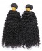 Kinky Curly Virgin Hair Weave Double Weft Human Hair 2 Bundles