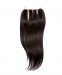 Silky Straight Lace Closure 4x4 Lace Size Brazilian Virgin Hair