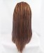 Brown Color Braided Synthetic Wig