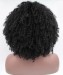 Afro Kinky Curly Synthetic Wig For Black Women