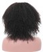 Msbuy Afro Kinky Curly Wigs 250% Density Lace Front Human Hair Wigs For Black Women With Baby Hair Pre Plucked Super Thick