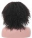 Msbuy Afro curly Silk Top Lace Wigs Natural Scalp Afro Kinky Curly Full Lace Wigs For Black Women With Baby Hair 