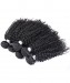 Brazilian Kinky Curly Virgin Human Hair Weave With Closure 100% Human Hair Lace Closure with 3 Bundles 