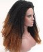 1B/Brown Afro kinky curly Synthetic Wig