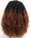 1B/Brown Afro kinky curly Synthetic Wig