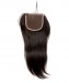 Silky Straight Lace Closure 4x4 Lace Size Brazilian Virgin Hair