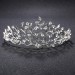 Hot Selling ! alloy crown leaf totem water diamond bride crown European wedding headdress wholesale