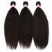 Kinky Straight Hair 4x4 Lace Closure with 3 Bundles 100% Human Hair Natural Color