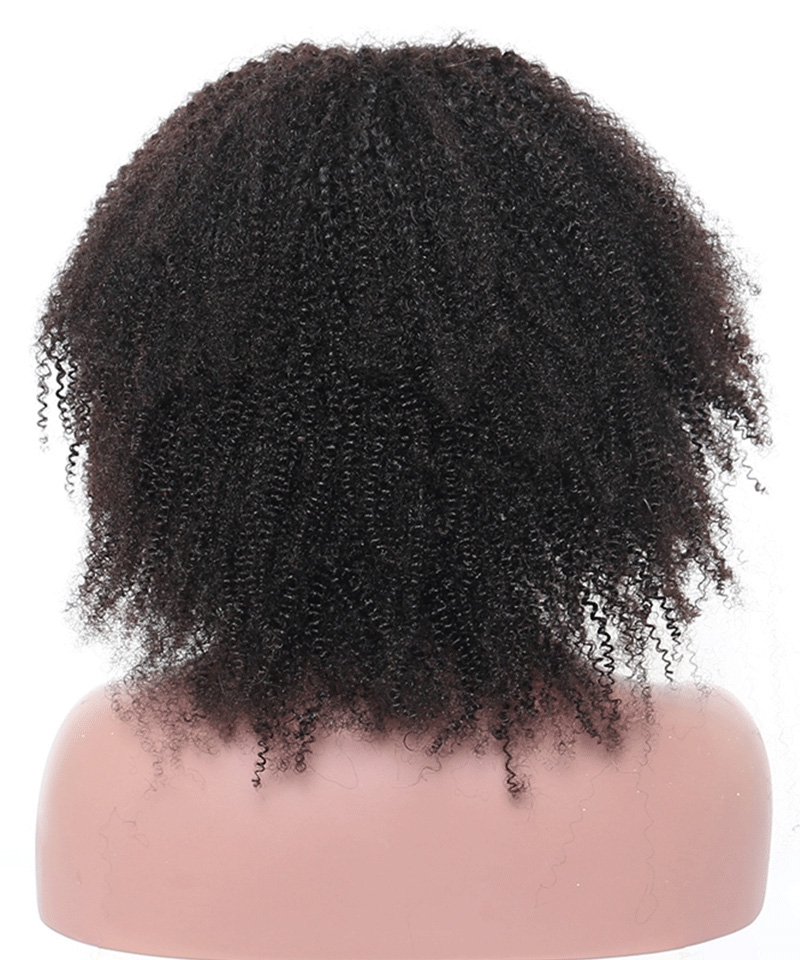 human hair wigs afro kinky curly Msbuy
